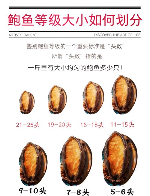 同品种不同个头海产抽样对比实拍