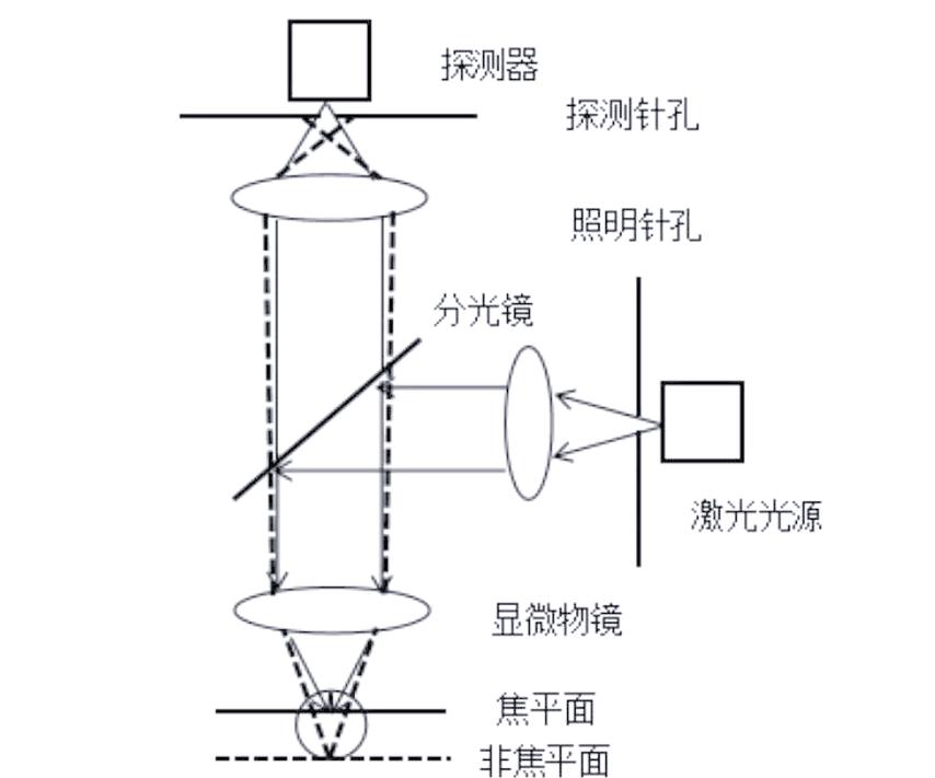 共聚焦显微镜光路原理图