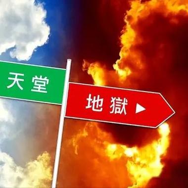 💡 一瓢水下去，天堂地狱两重天？