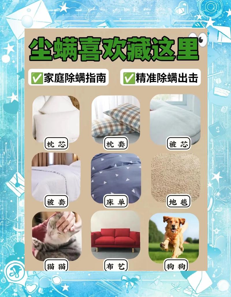 家庭常见错误除螨方法对比图