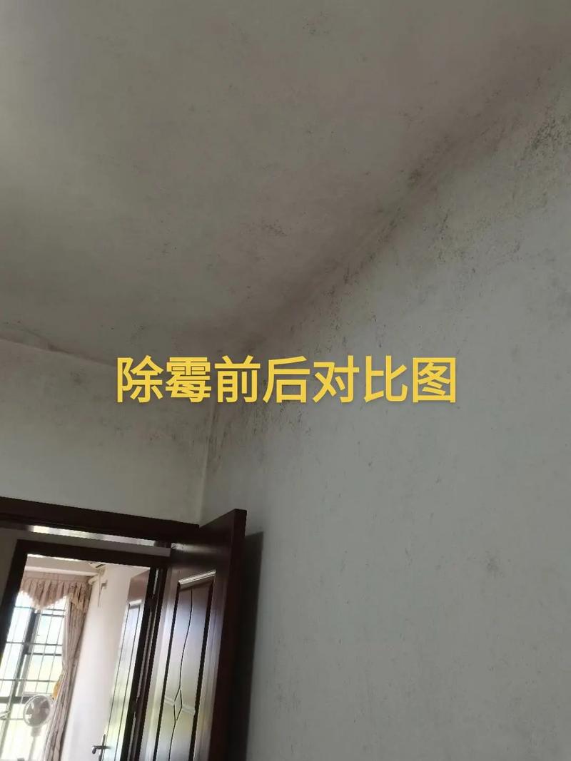 不想再被缝缝里的黑霉恶心?给家来点“马”,懒人也能轻松清爽-因为所以