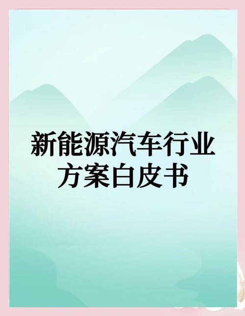 公开面向消费者发布的新能源汽车技术白皮书实拍