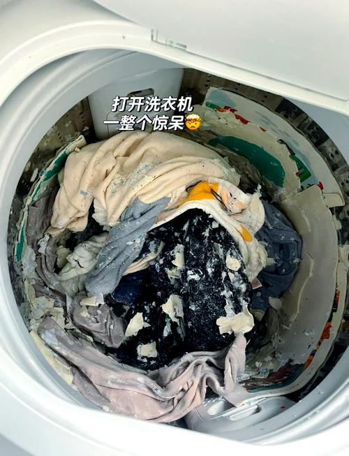夏天滚筒洗衣机塞了半筐脏袜子和内衣的实拍图