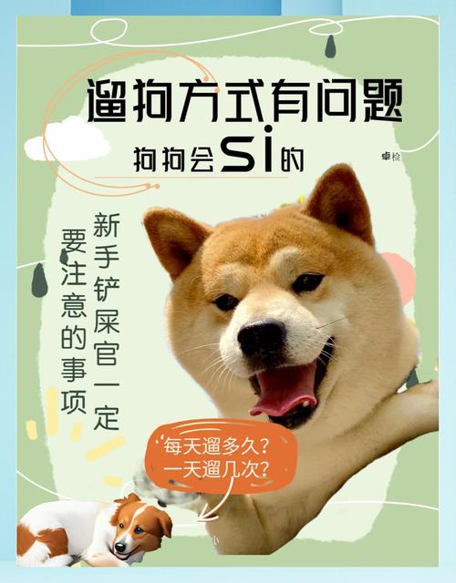 那些坑，我见过好多铲屎官踩