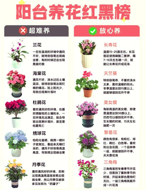 选型避坑:那些看起来好实则没用的花活