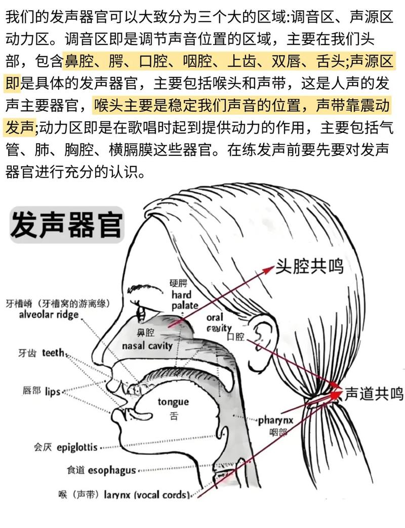 唱歌面罩共鸣位置示意图