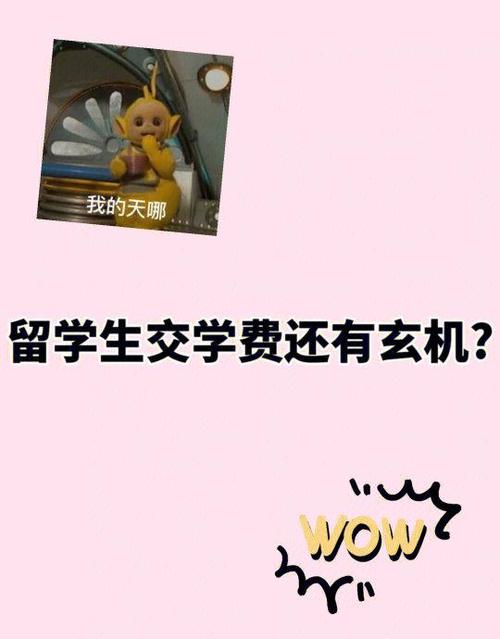 我踩过的那些坑,别再跟着交学费了