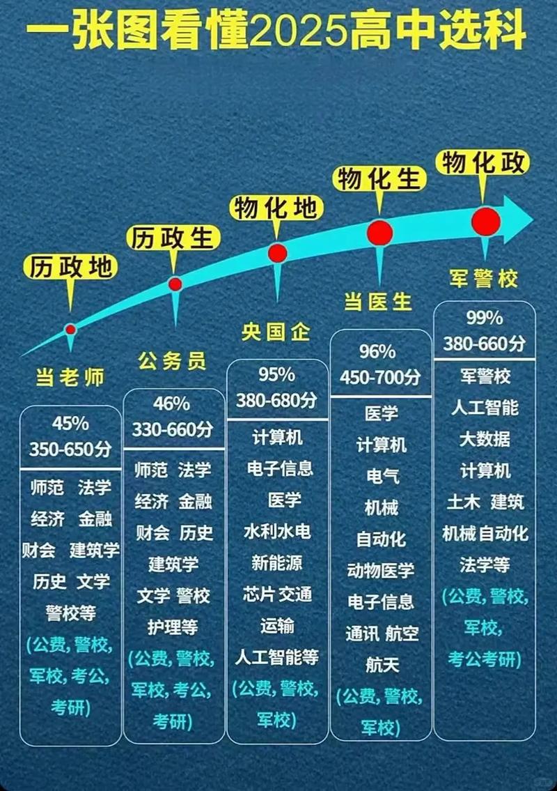 高中生选科路线调整策略示意图