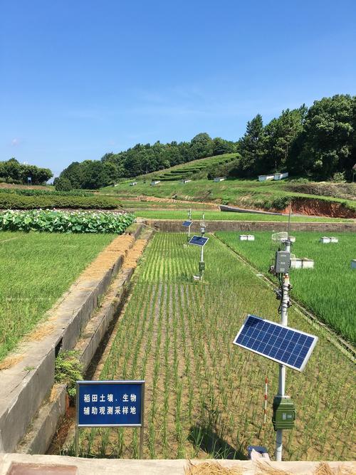 南方丘陵碎片化梯田物联网传感器布点现场