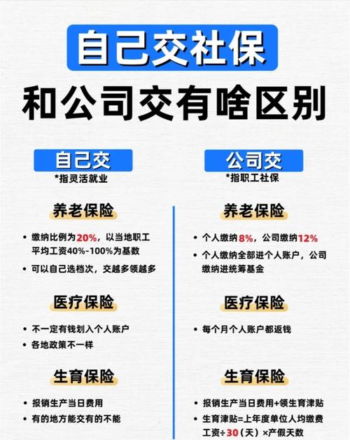 四、合同与社保:别被坑了还帮人数钱