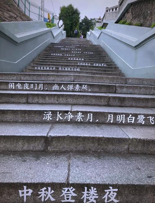 黄鹤楼老台阶缝里的唐代土与水泥残渣