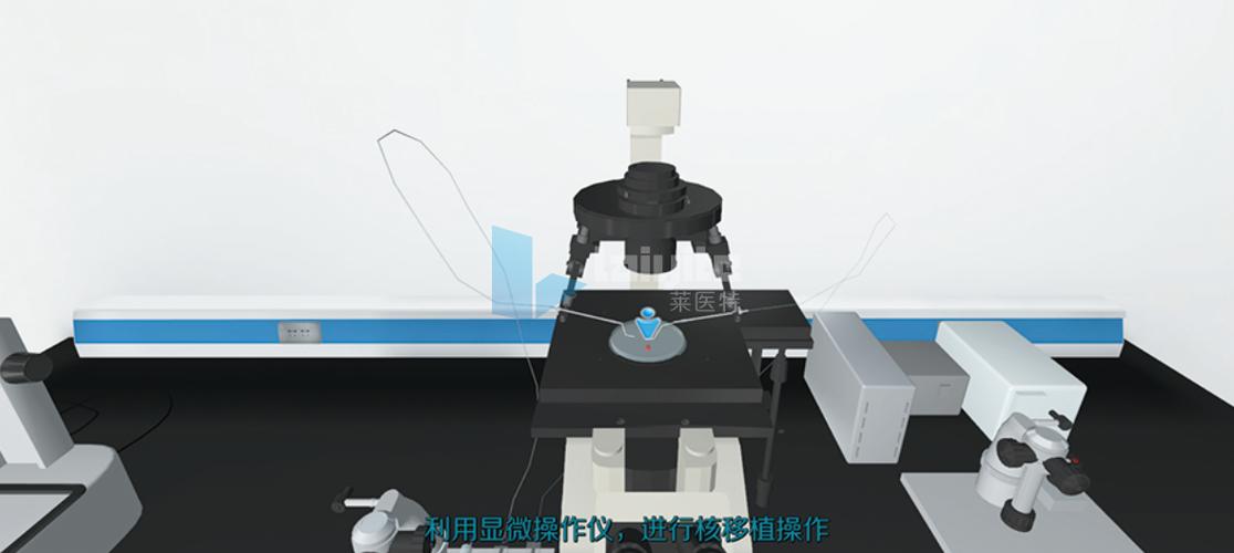 虚拟实验室中的显微镜操作界面显示细胞结构