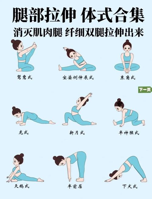 健身房增肌推拉腿动作标准示范图