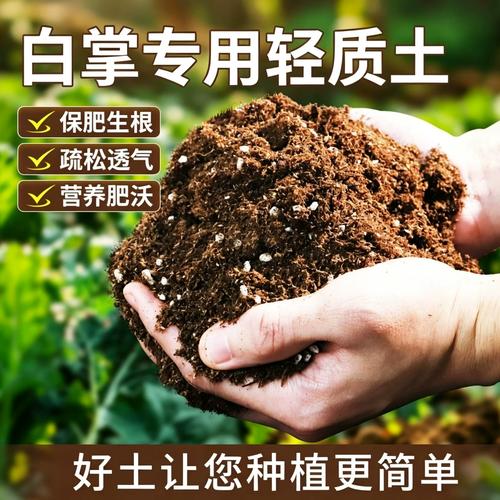 家用绿植盆栽疏松透气营养土实拍