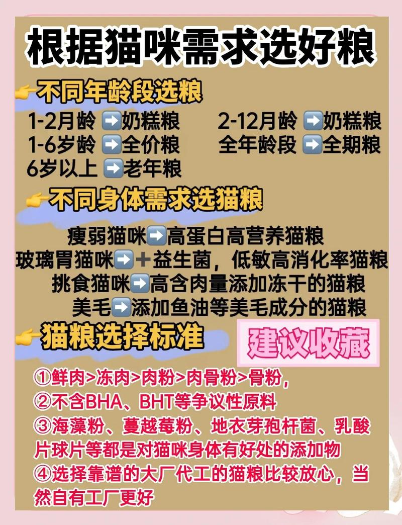 选猫粮不用搞太复杂，记住这几个核心点