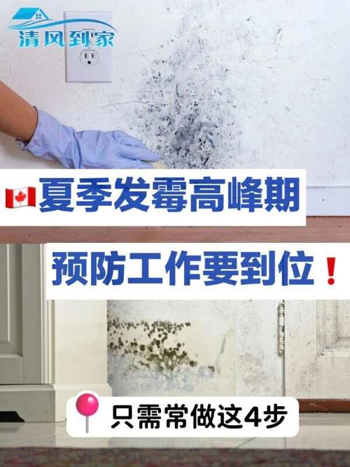 最后留一步,别忘透气防发霉