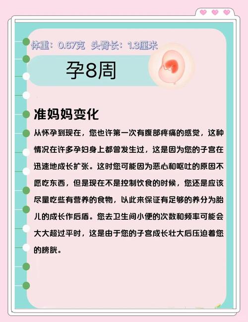 🕒 出生到8周:在妈妈身边,那是人干的事吗?