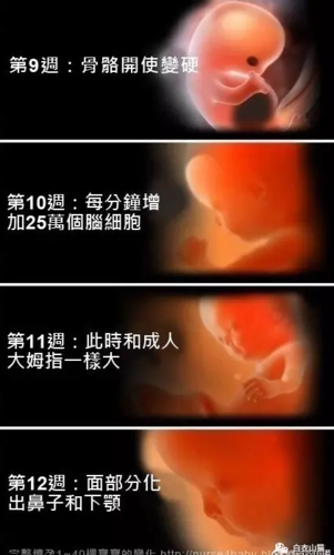 那到底什么时候不能拍？