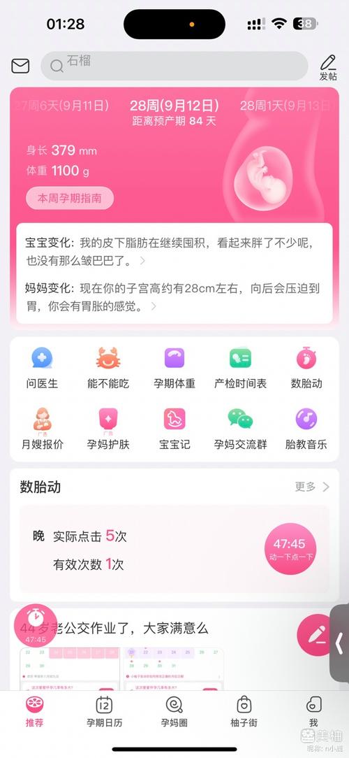 手机端国外孕期APP个人信息授权页面