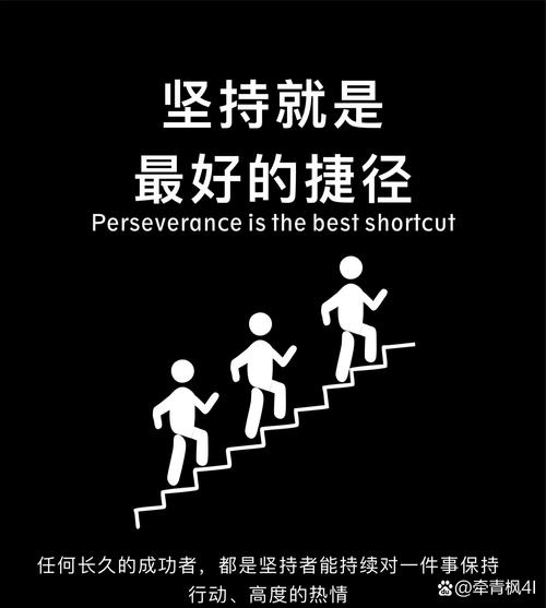 四、我的个人偏好与坚持