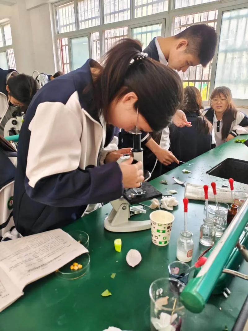 学校综合实践活动学生失败实验场景