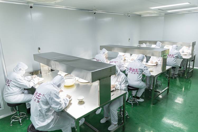食品加工厂洁净型自动化流水线调试现场