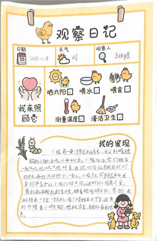 儿童手绘微观察蹲点日志内页