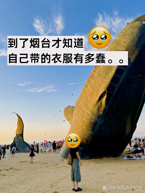 掏心窝子给你的实用贴士