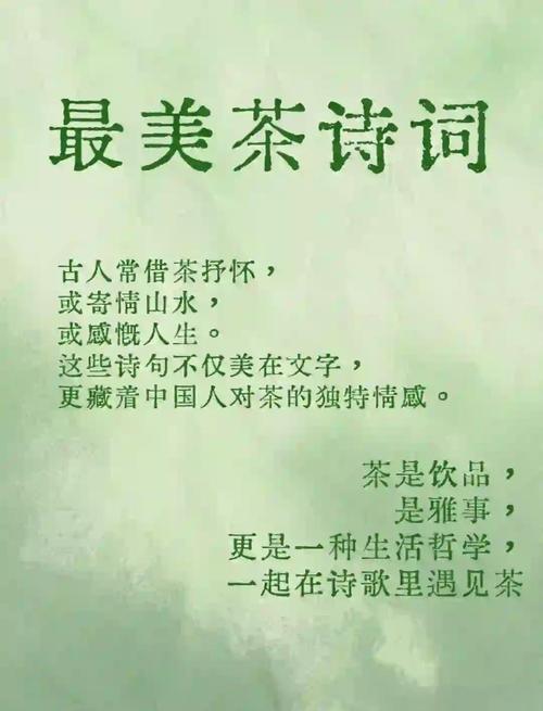 朦胧诗歌手稿与一杯茶