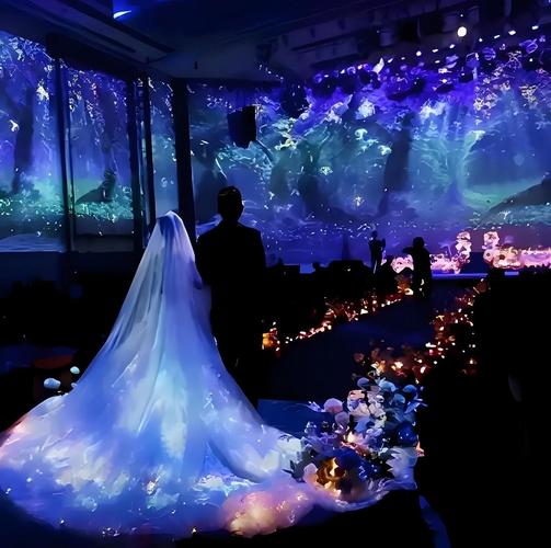 婚礼透明LED屏创意展示