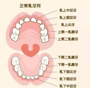 别等娃长蛀牙才慌：90%爸妈都做错的宝宝口腔清洁真相-超级宝贝