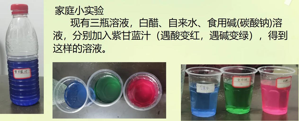 儿童紫甘蓝酸碱指示剂变色对比图
