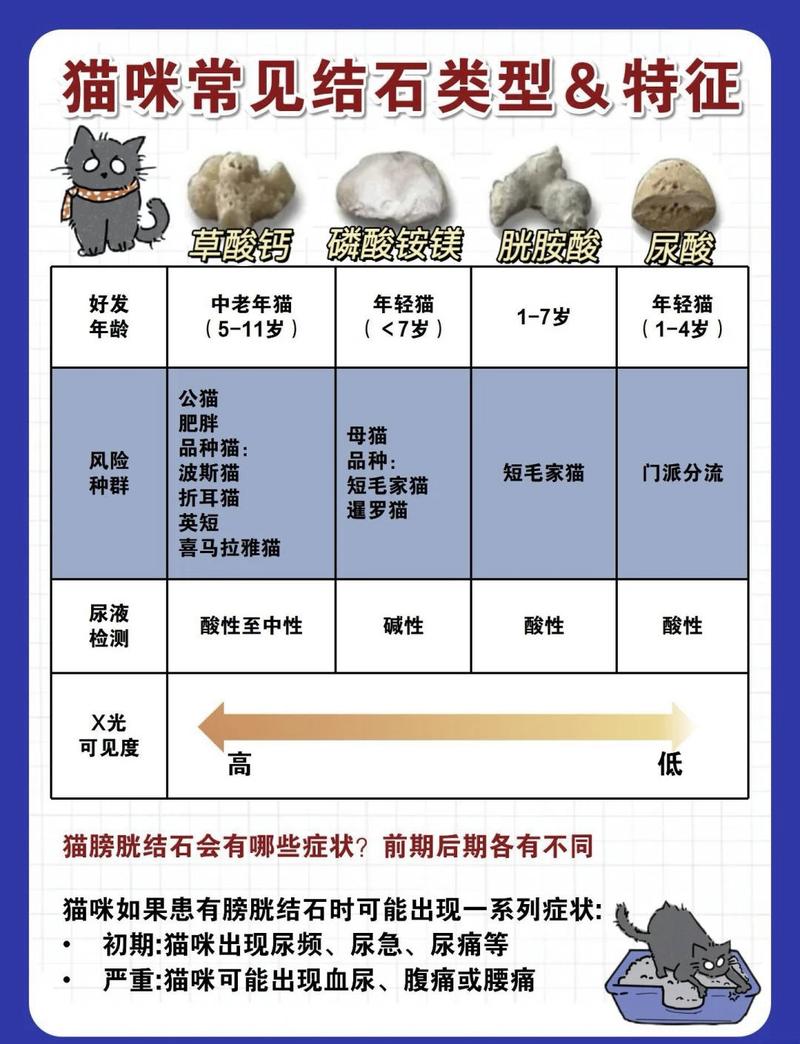 四种常见犬猫结石成分对照表