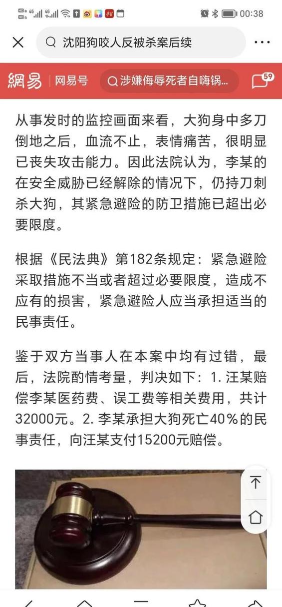 紧急避险过当案例判决书关键段落截图
