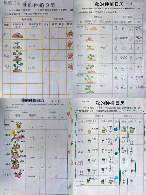 工业区社区花园里孩子种菜记录