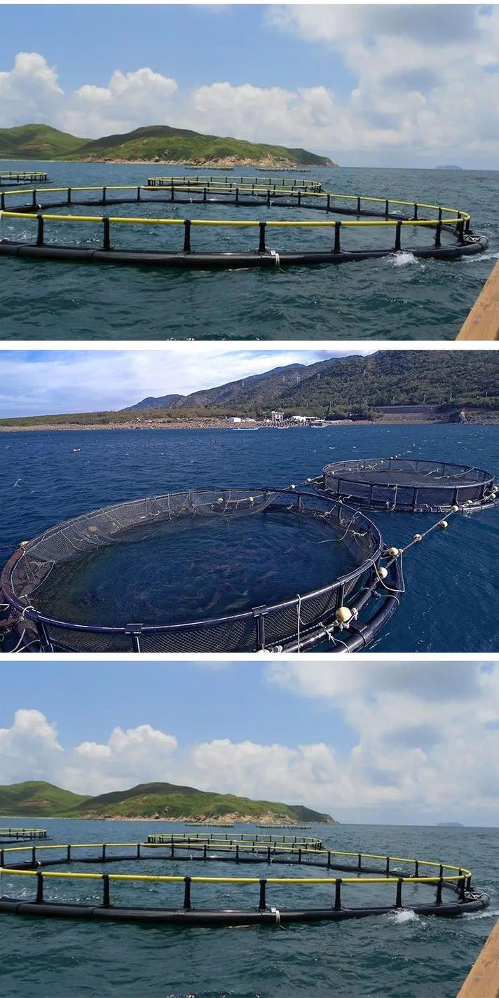 黄海深远海智能三文鱼养殖网箱实拍