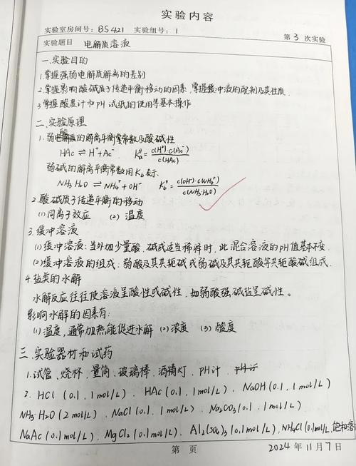 学生手写科创项目实验笔记实拍
