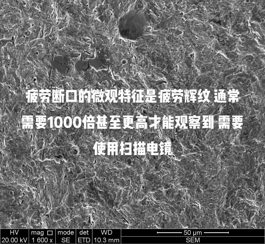 工业弹簧疲劳断裂断口扫描电镜照片