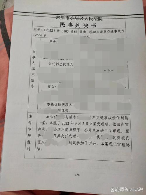 交通事故紧急避险责任划分判决书实拍