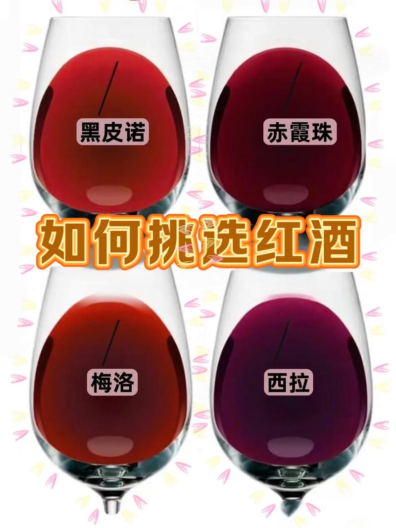 新手选酒求生指南
