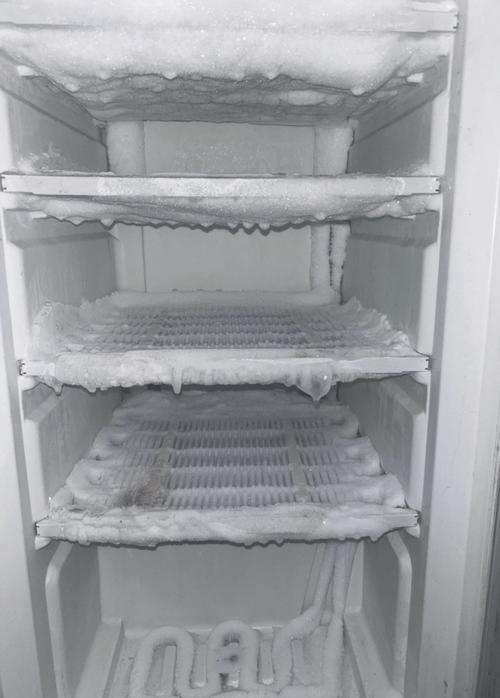 南方的冰箱冻不出这层霜