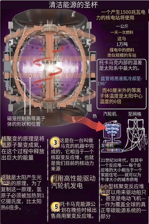 磁约束核聚变等离子体稳定运行示意图
