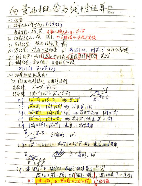 孩子作业本上密密麻麻的向量坐标图解