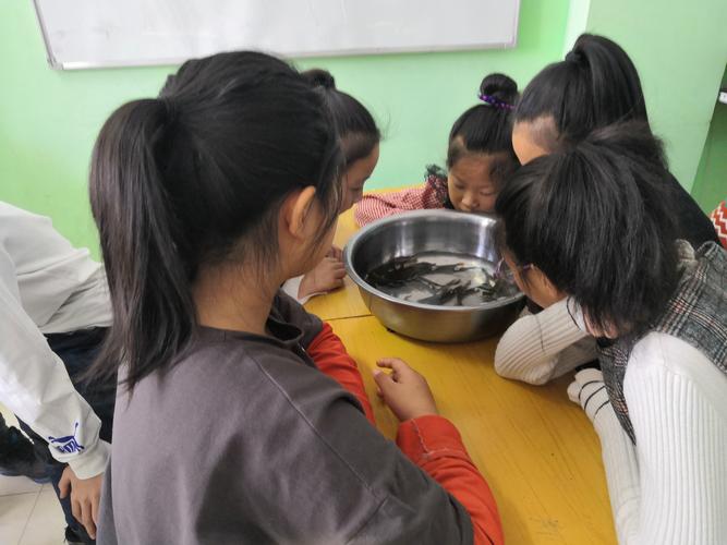 初中物理课堂学生带的小金鱼掉在课本上被老师引导的现场抓拍