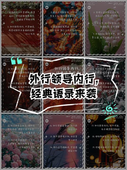 评委点评：外行指点内行，还是内行装外行？