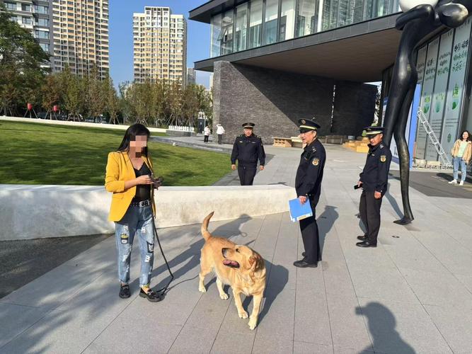 城市遛狗合规与违规场景对比图