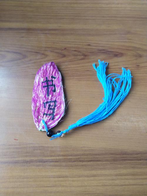 小学阅读分享会学生带的书中夹的真实鸡毛标本