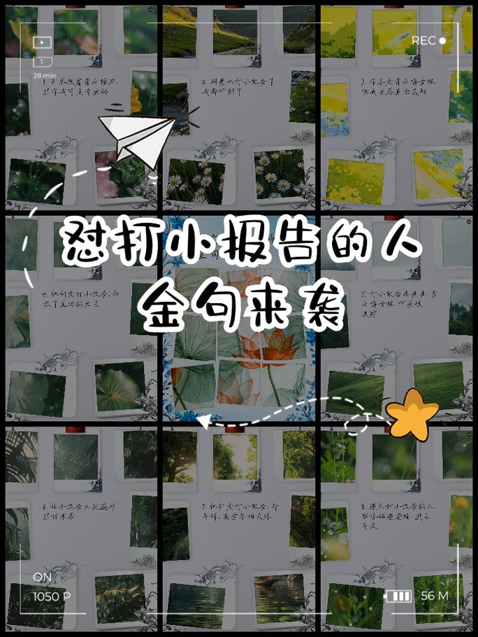 第二个坑:黑带成了“写报告的人”
