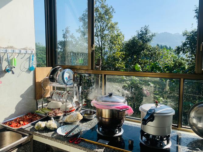 社区居民在厨房拍摄的被树木遮挡阳光的实景