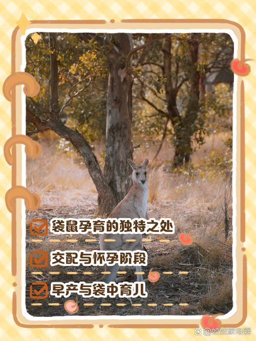 出生后:争宠是门技术活